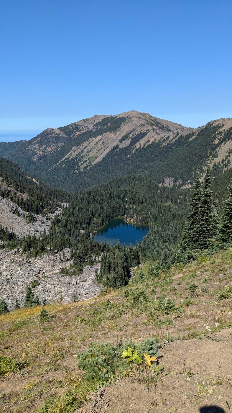 Silver Lakes from above