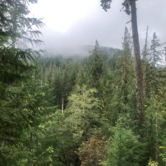 Misty mountain views