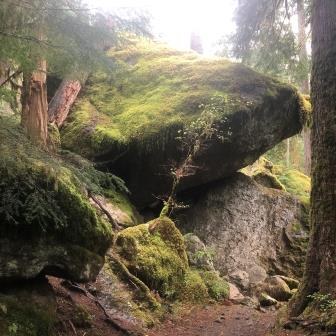 Toenail Rock