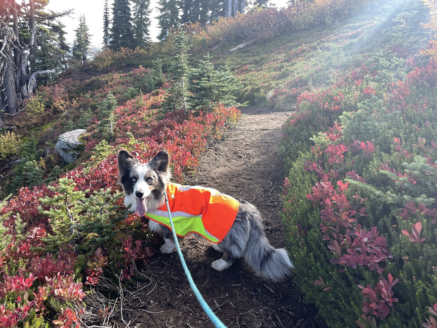 Summit Lake by Sunsets&Fireweed