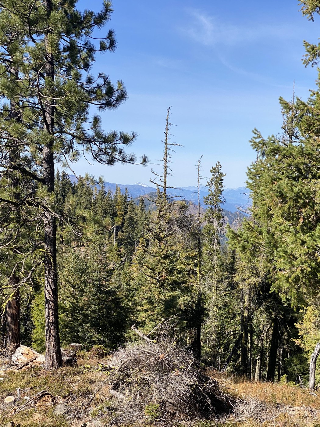 Glacier Peak in distance