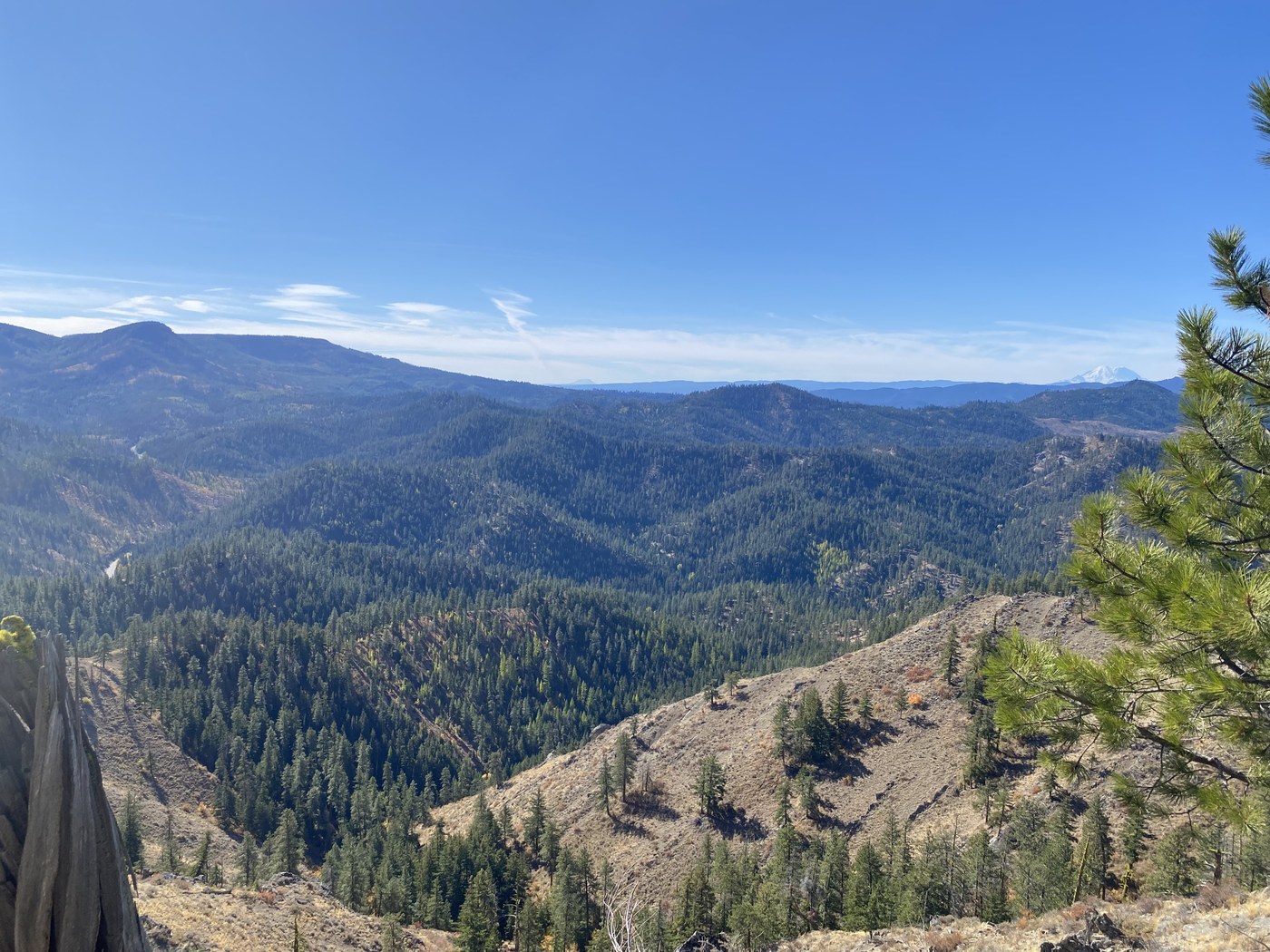 Mt Rainier, Mount St Helens