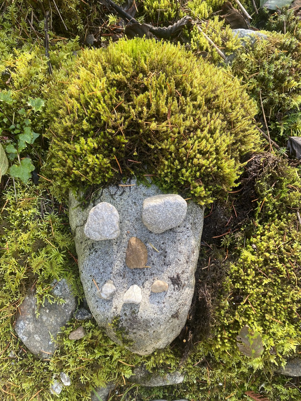 Fun With Rocks
