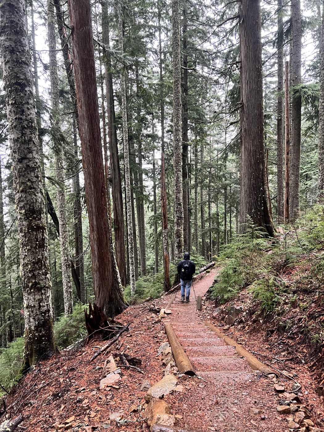 Trail conditions/ stairs.
