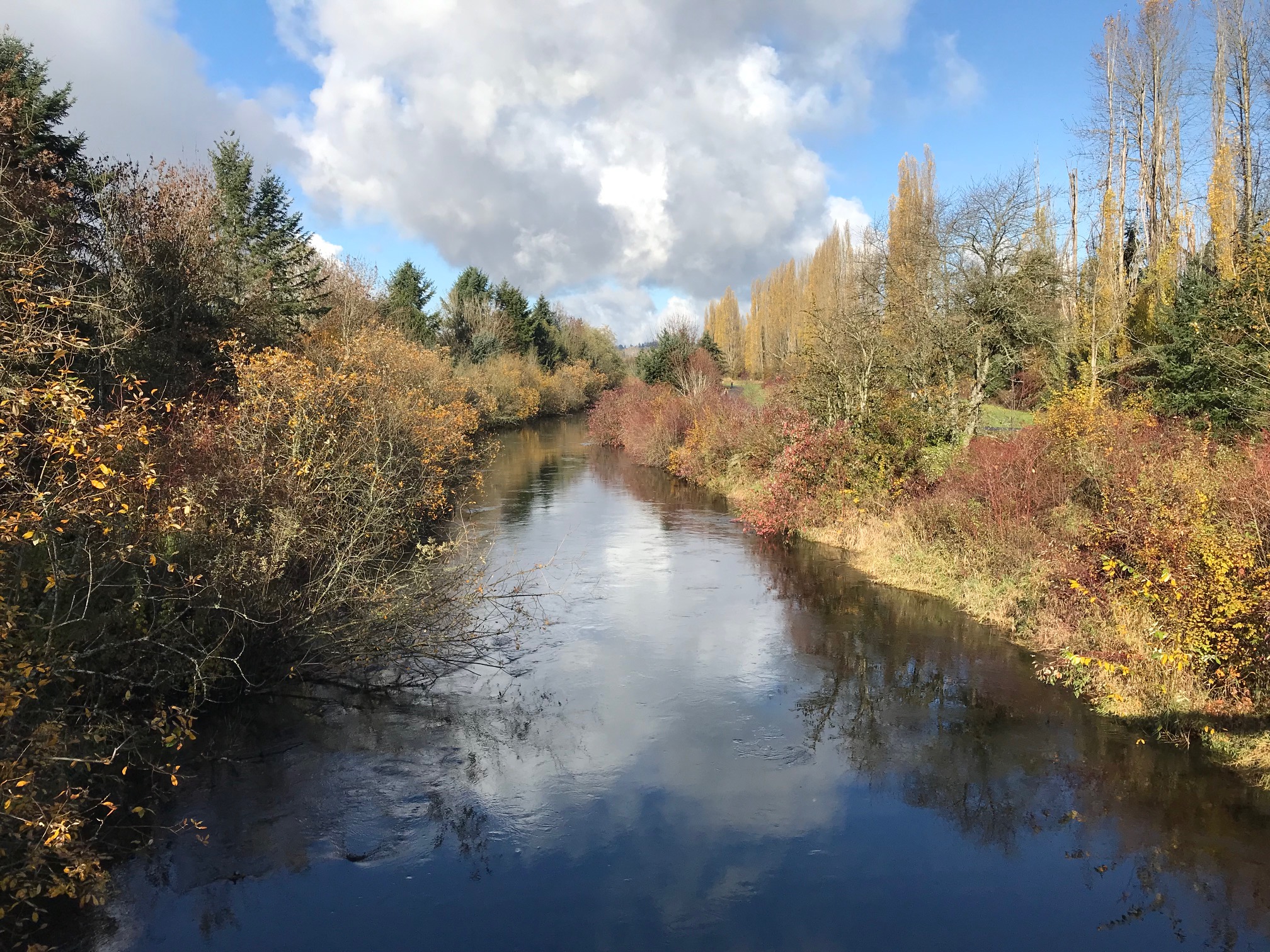 Redmond Park