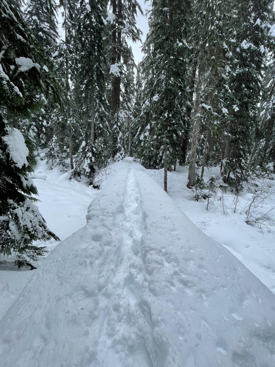 the three tricky bridges after Carter Falls were passable
