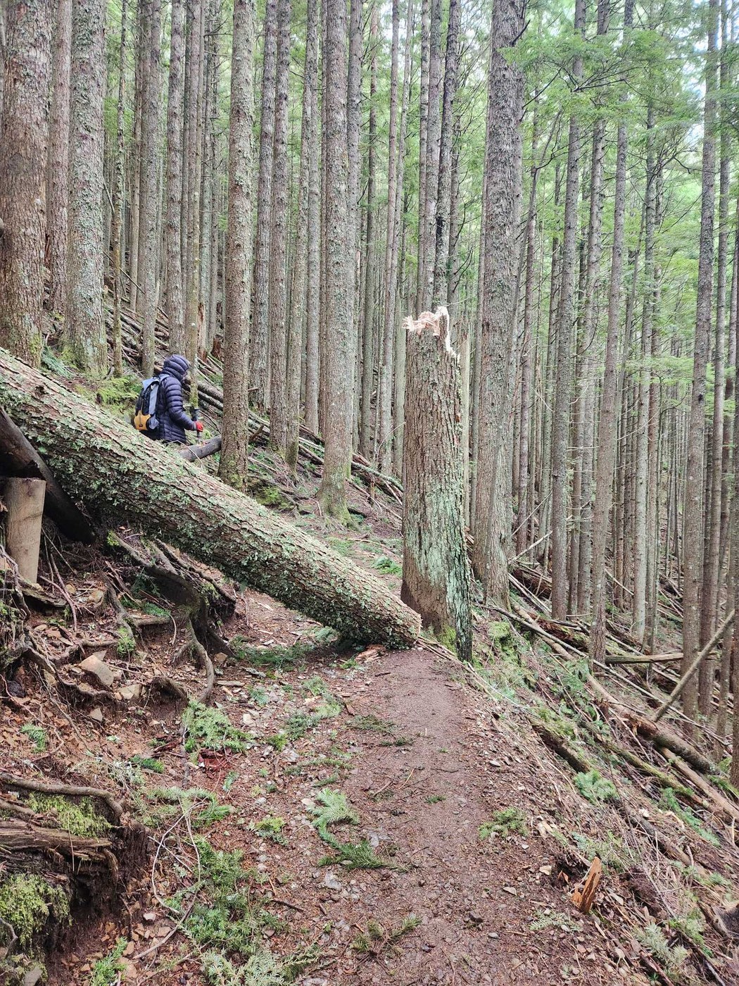 Mount Si by Tarn_Z