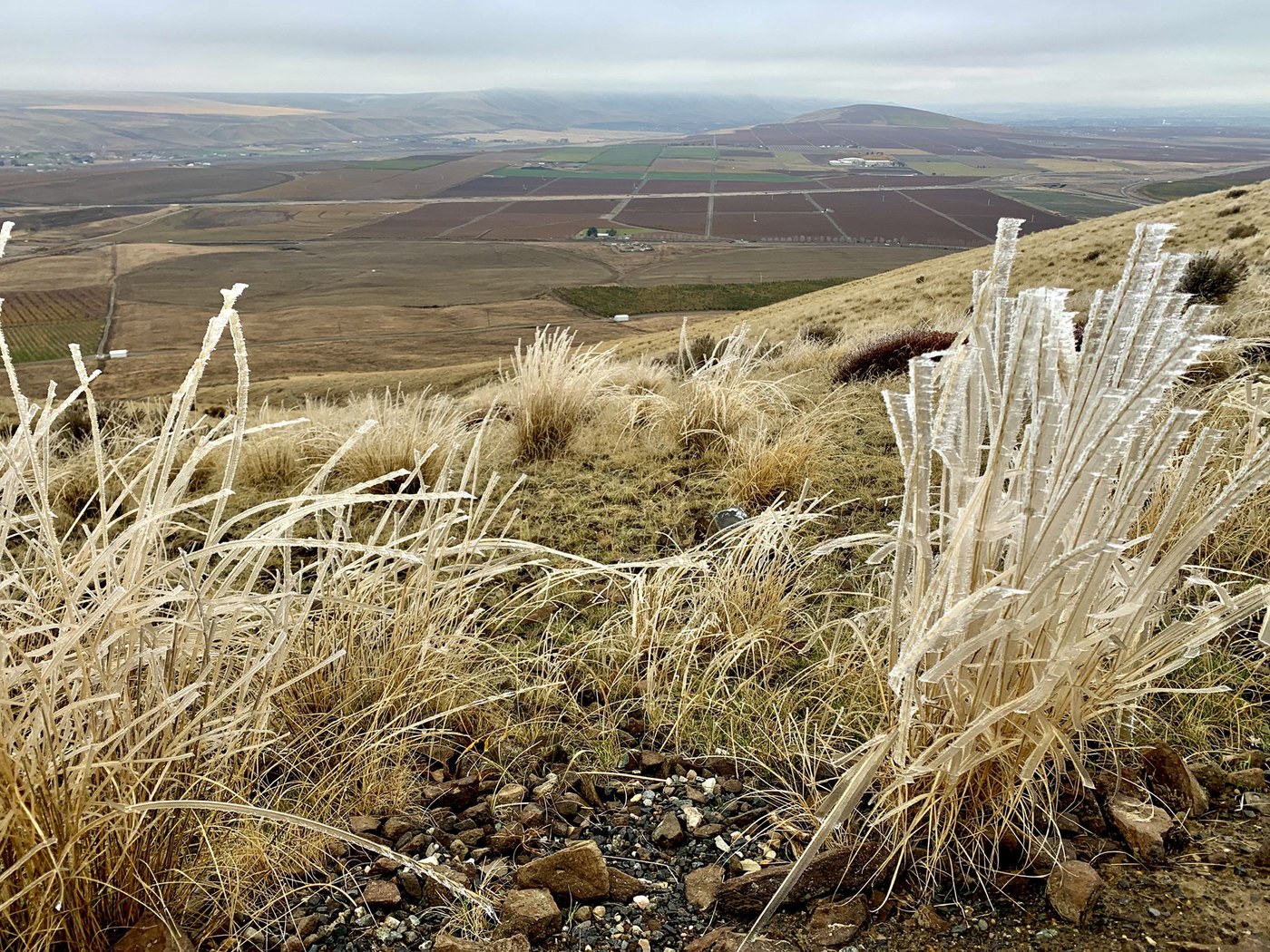 Badger Mountain - The Langdon Trail, Badger Mountain - Skyline Trail by findthefuturepath