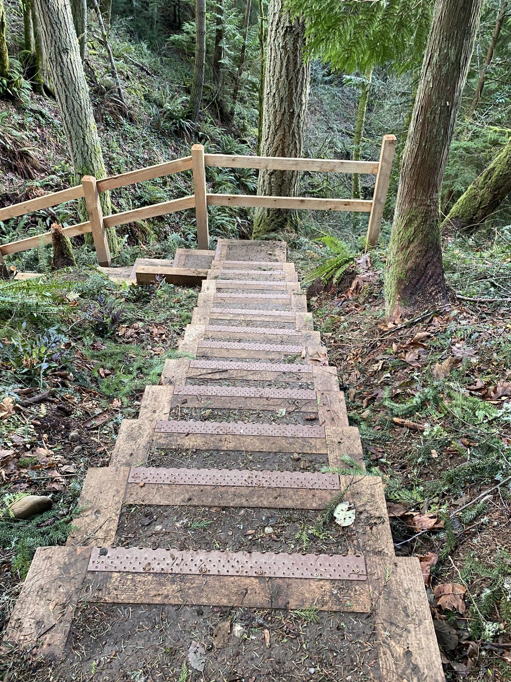 New Steps and Doughty Falls View point