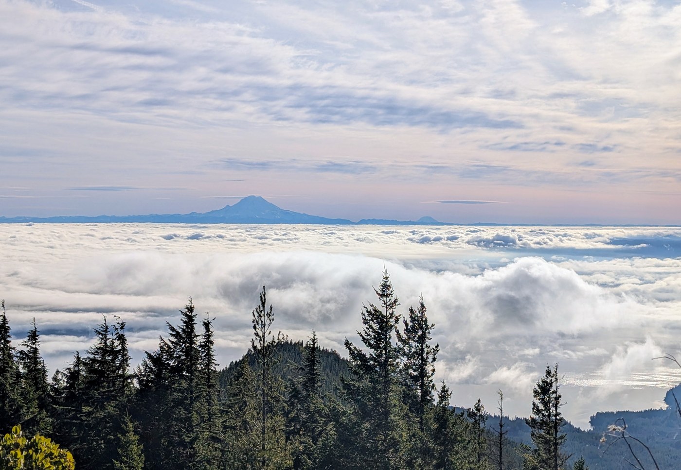 Mts Rainier & Adams from south summit