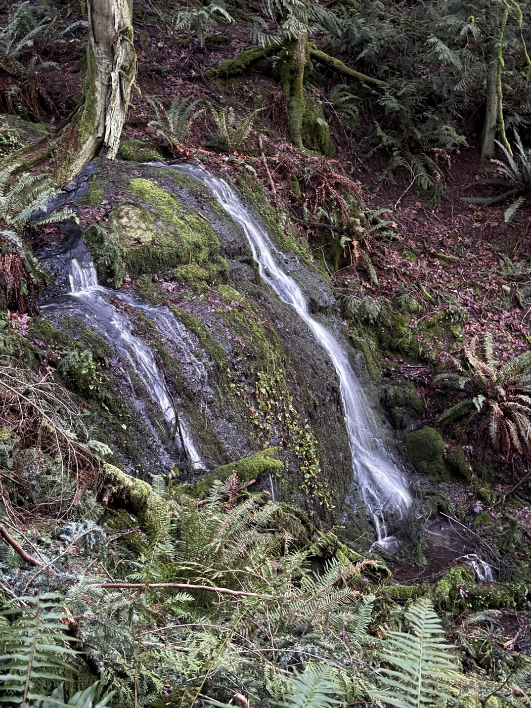 Doughty Falls with average flow