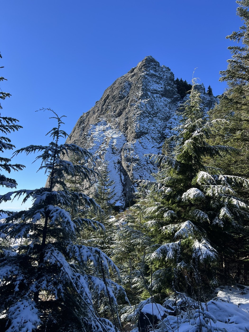 Mount Si via Mount Teneriffe Trail by WifeHusbandPuppy
