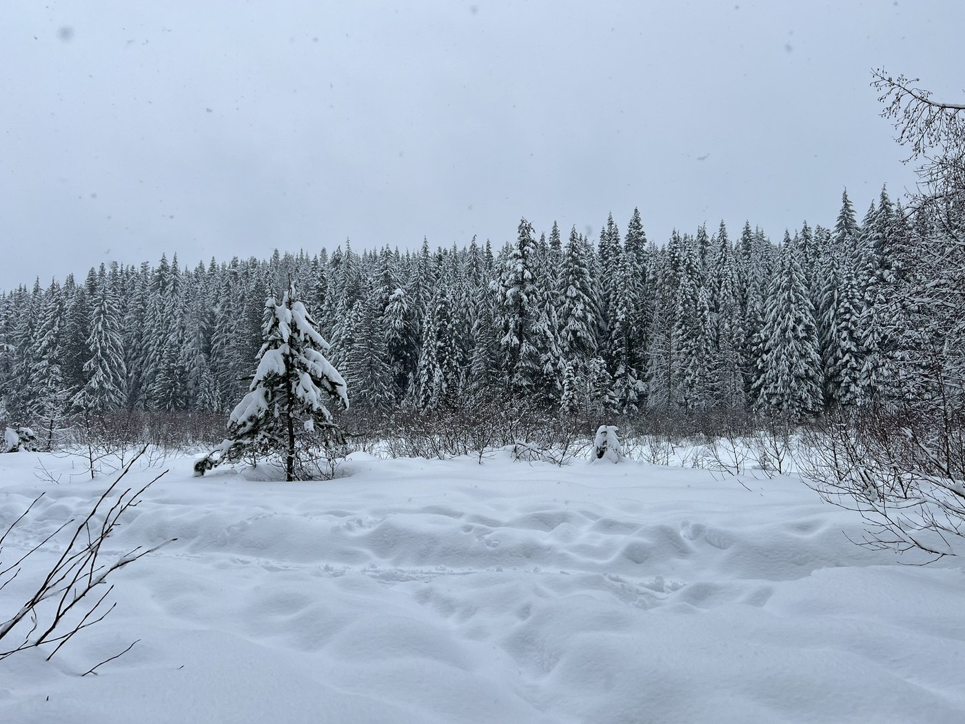 Gold Creek Pond Snowshoe by Wanderlust_PNW