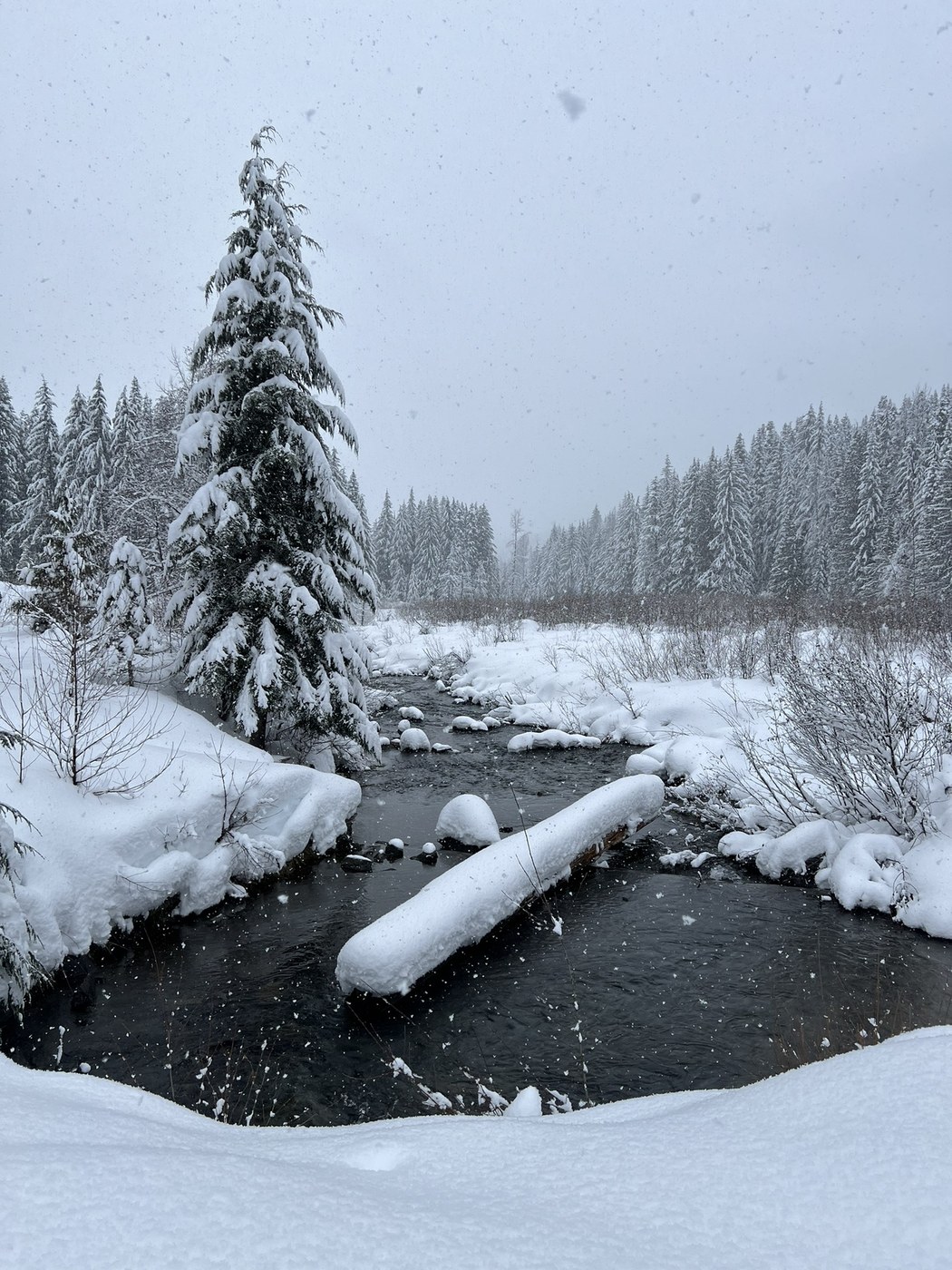 Gold Creek Pond Snowshoe by Wanderlust_PNW