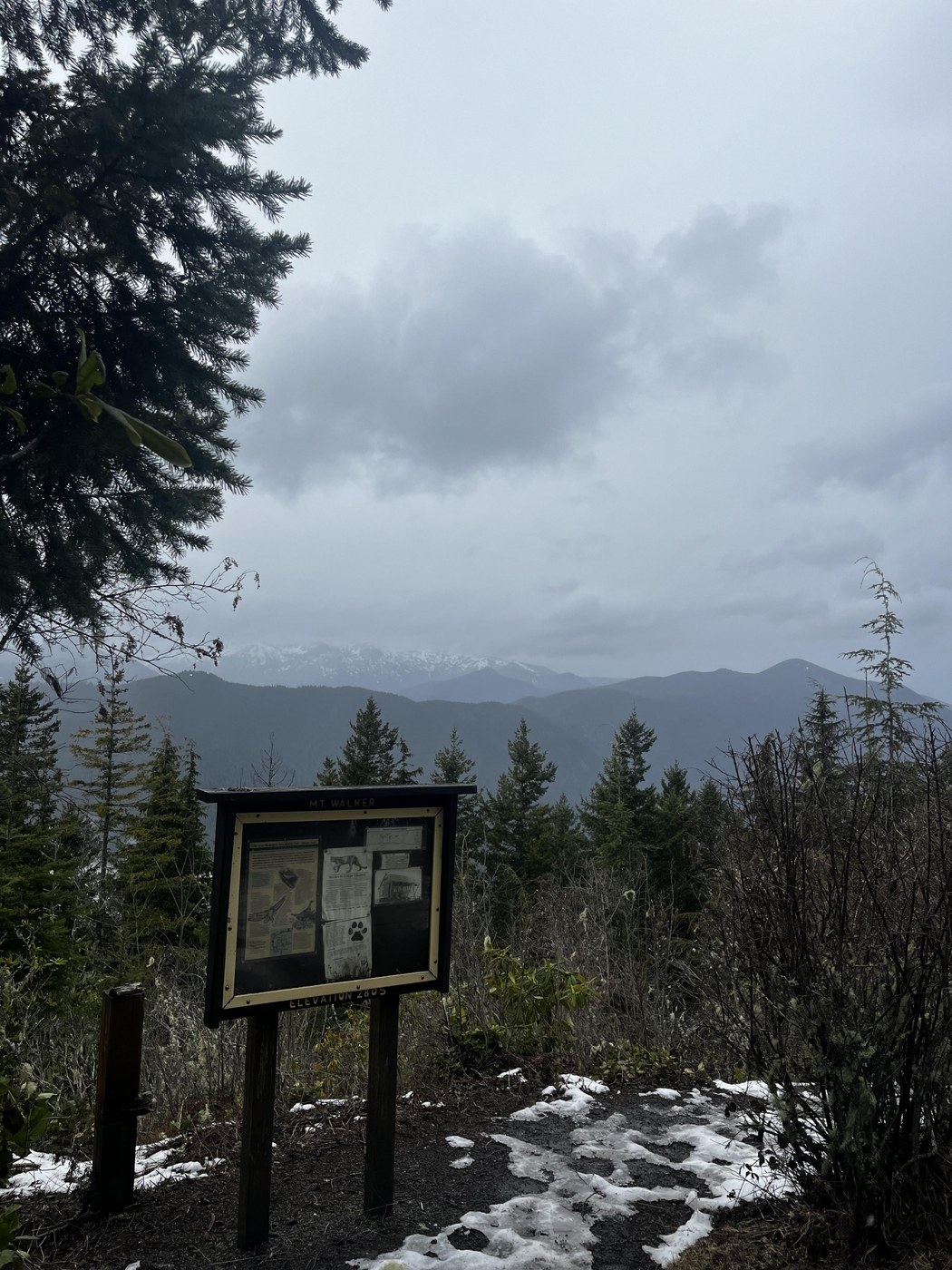 View from the North Summit