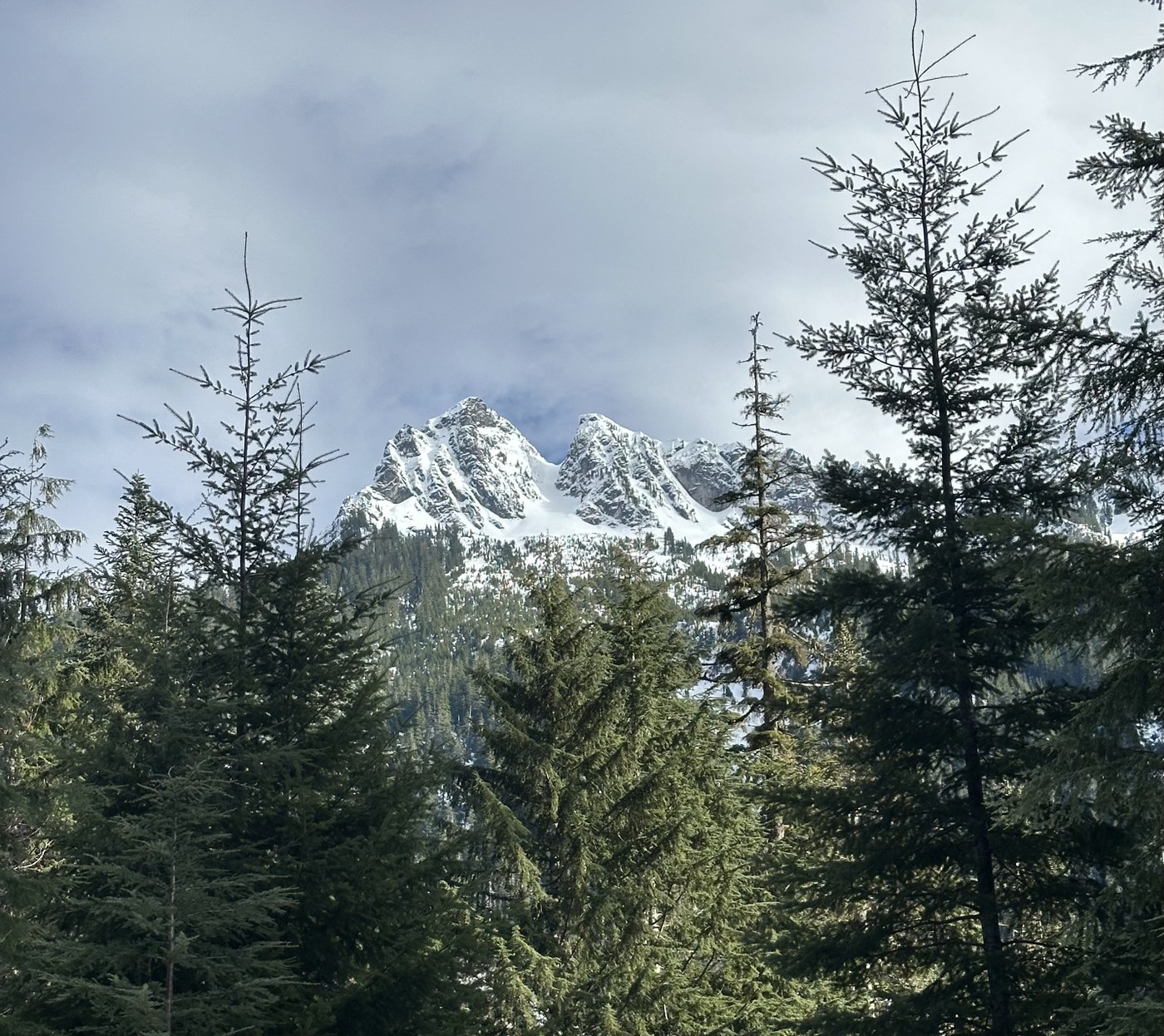 Burntboot Peak from the Dutch Miller Gap trail