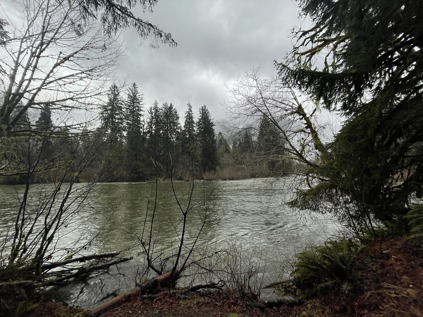 Mine Creek by Hiker Mama