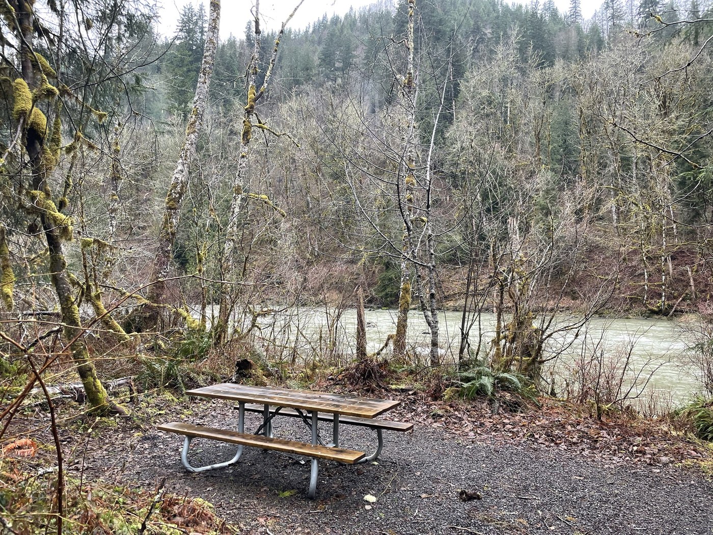 Mine Creek by Hiker Mama