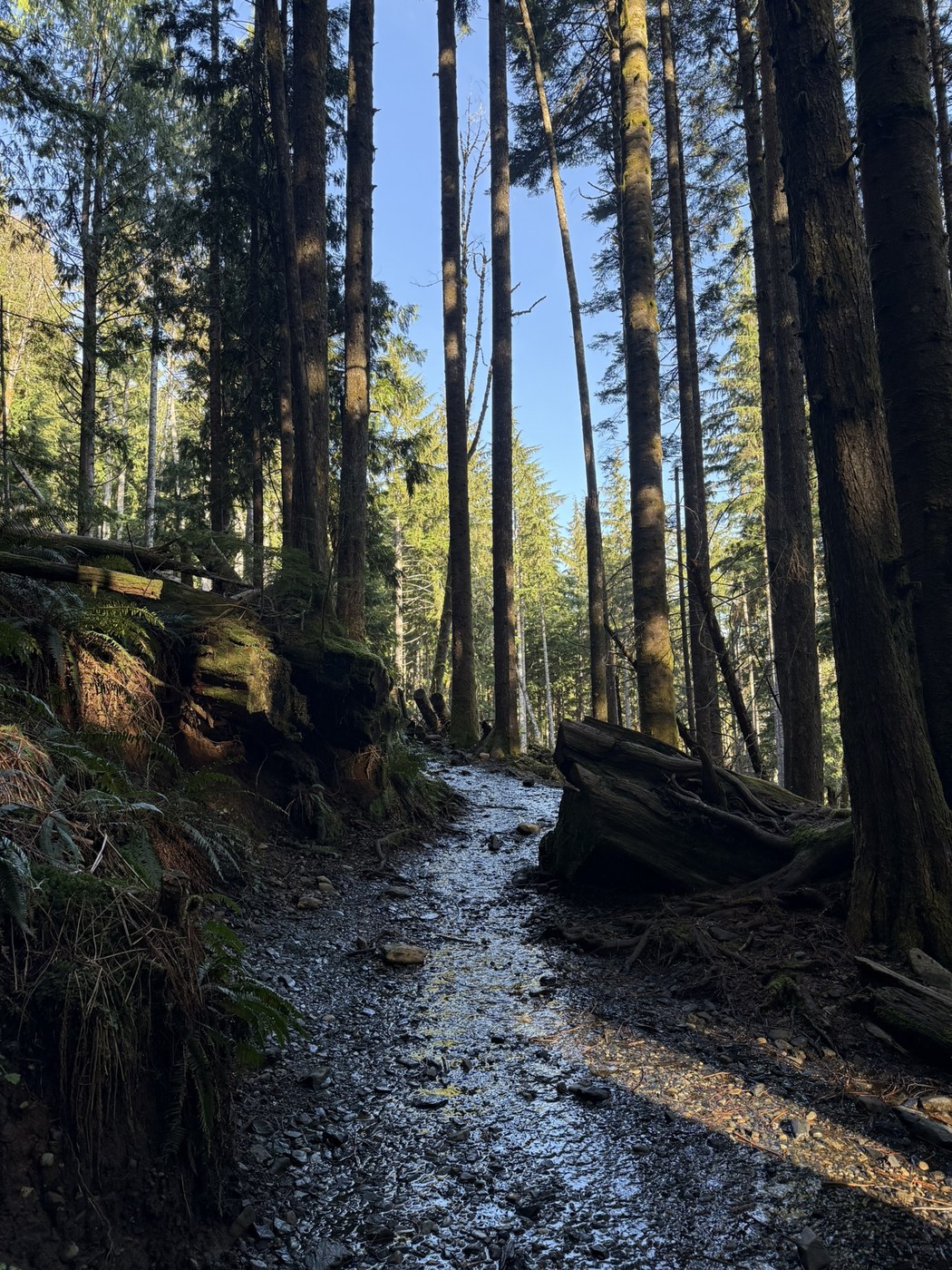 Heather Lake by geekgirlgrace