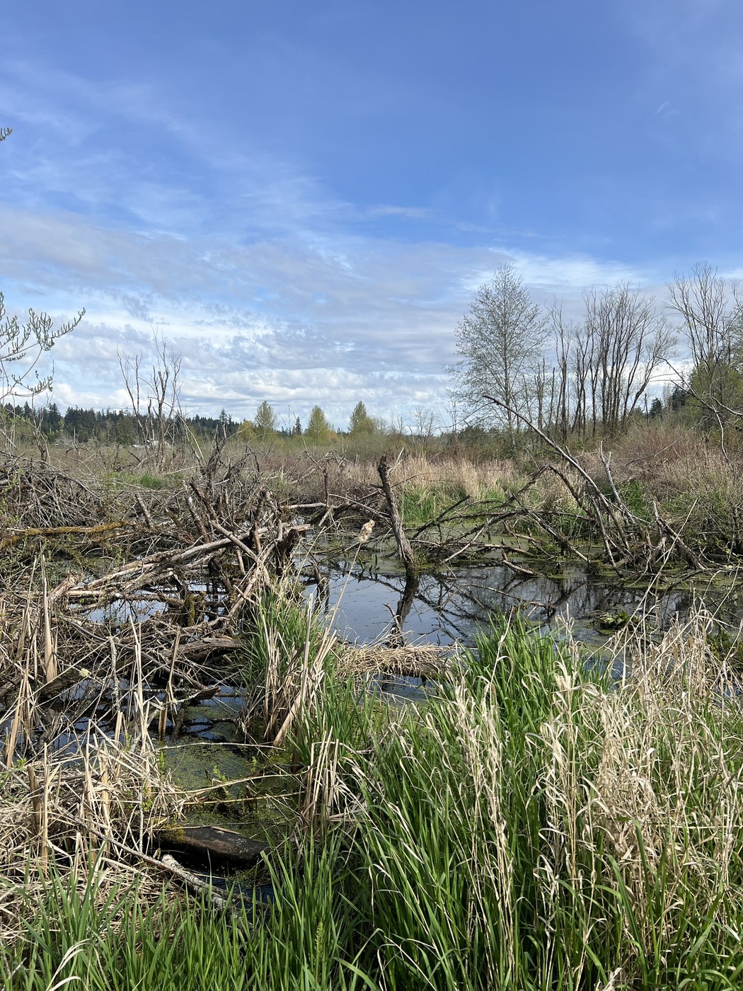 Clear Creek Trail by Jessi Loerch