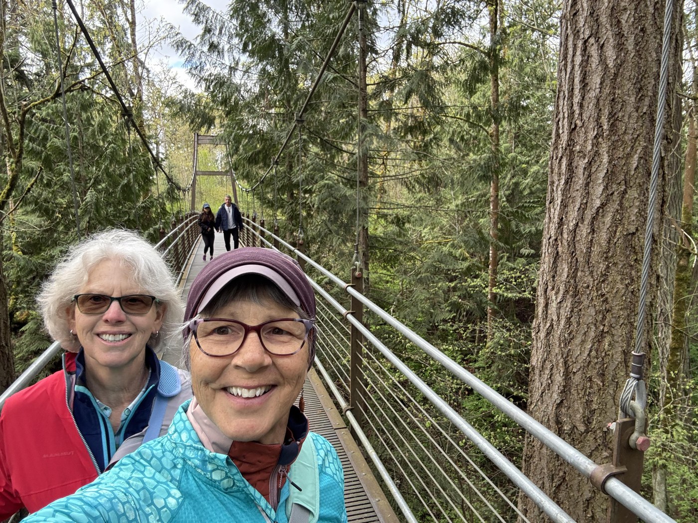 Ravine Experience Suspension Bridge