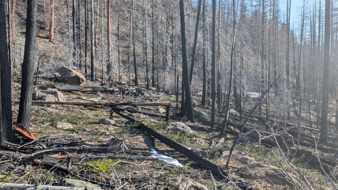 Typical trail conditions