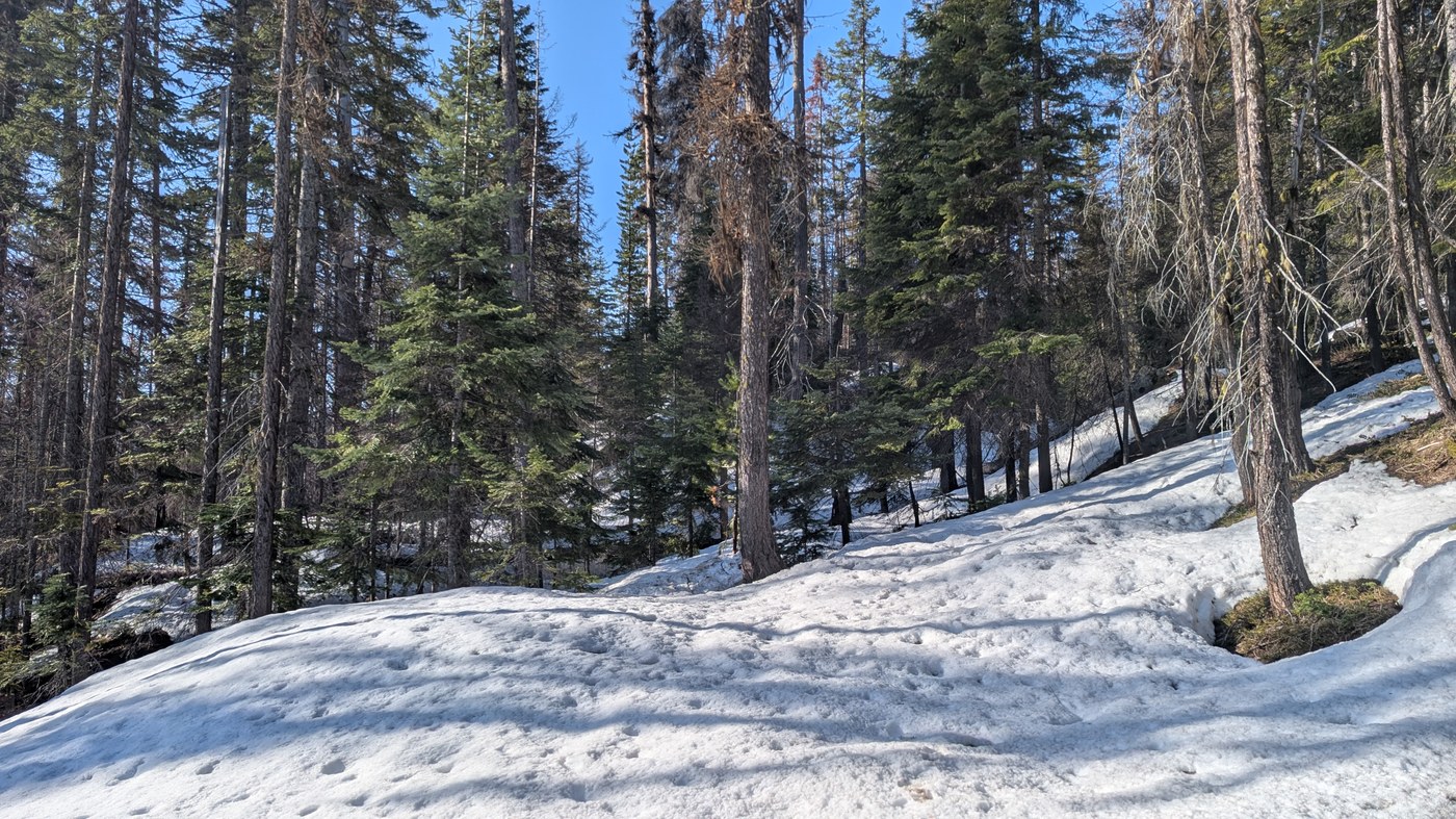 No trail past 2.3 miles.