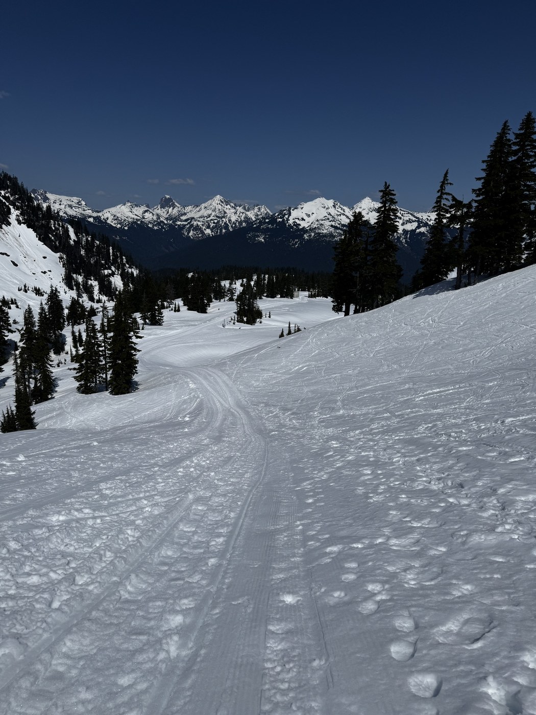 Artist Point Snowshoe by Shellyf