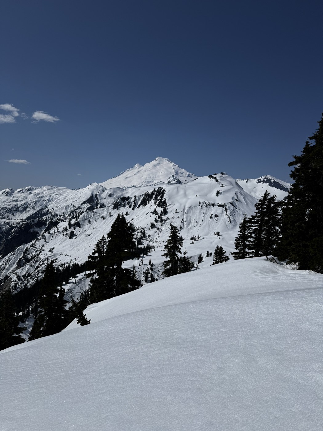 Artist Point Snowshoe by Shellyf