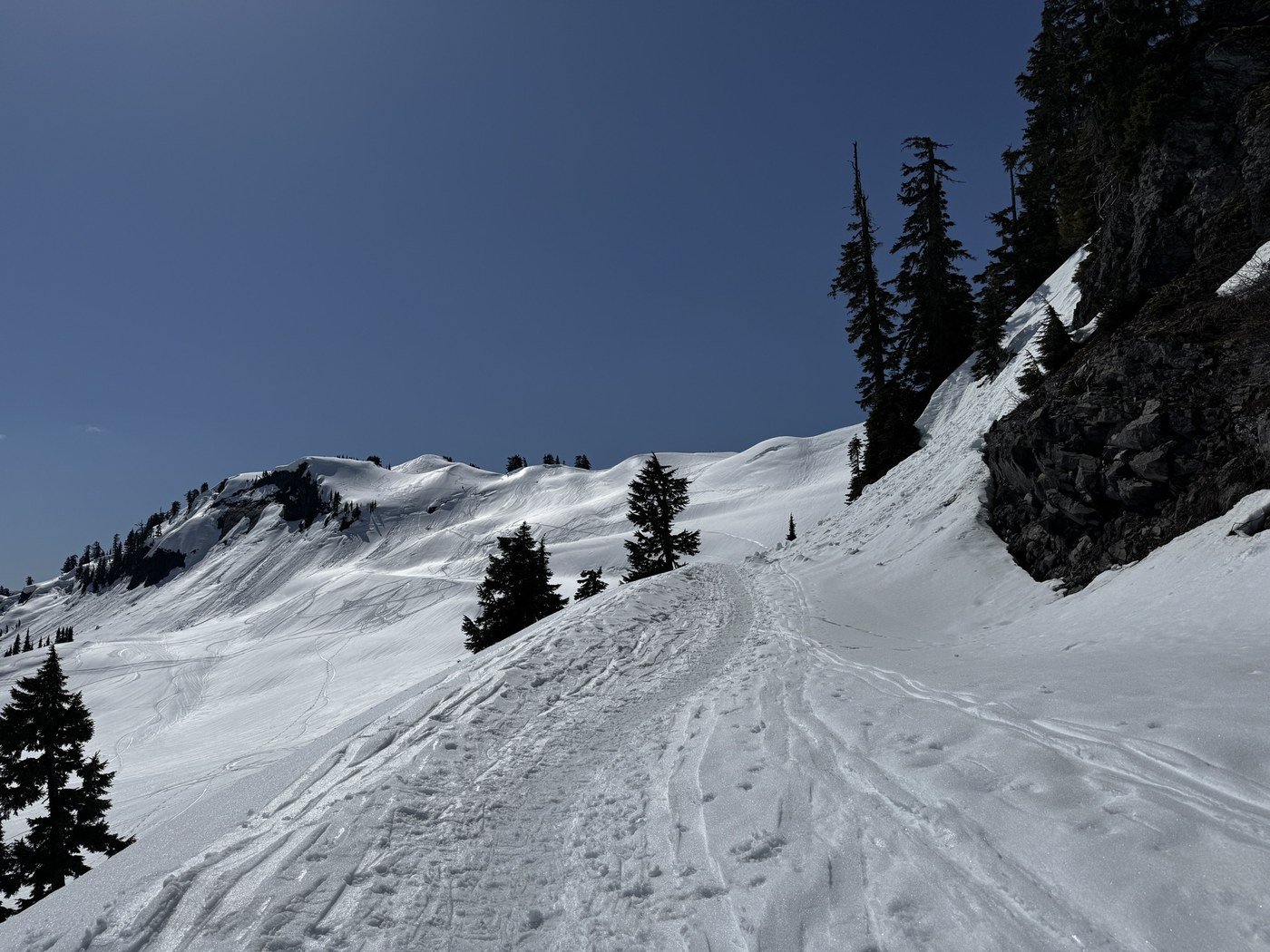 Artist Point Snowshoe by Shellyf