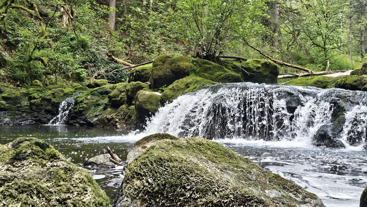 Lower Falls