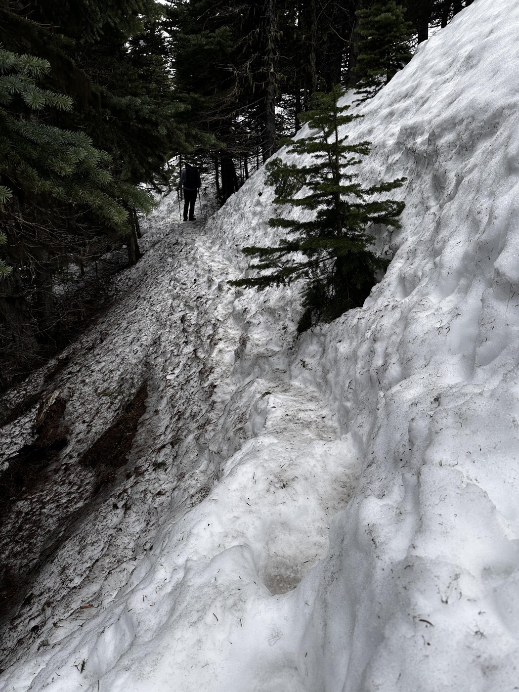 Snowy trail above 4300'