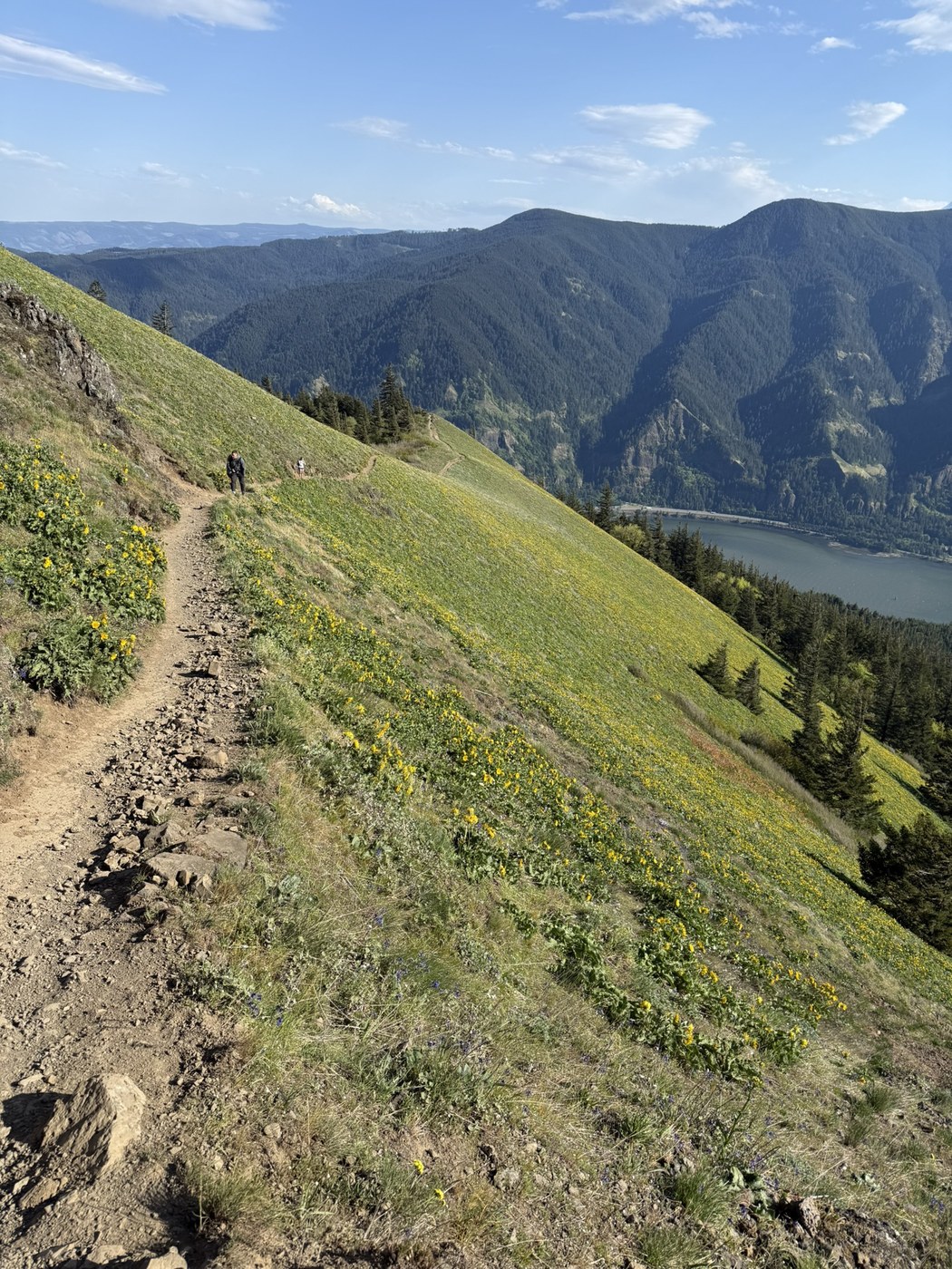 Dog Mountain by A dog named Girl