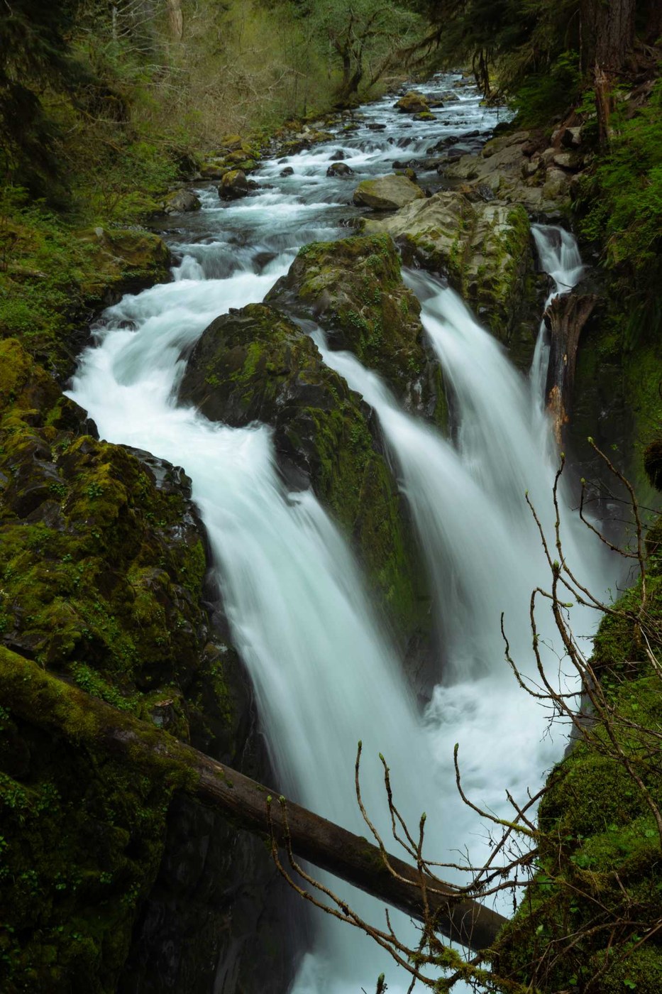 Sol Duc Falls by Mancunian_hiker