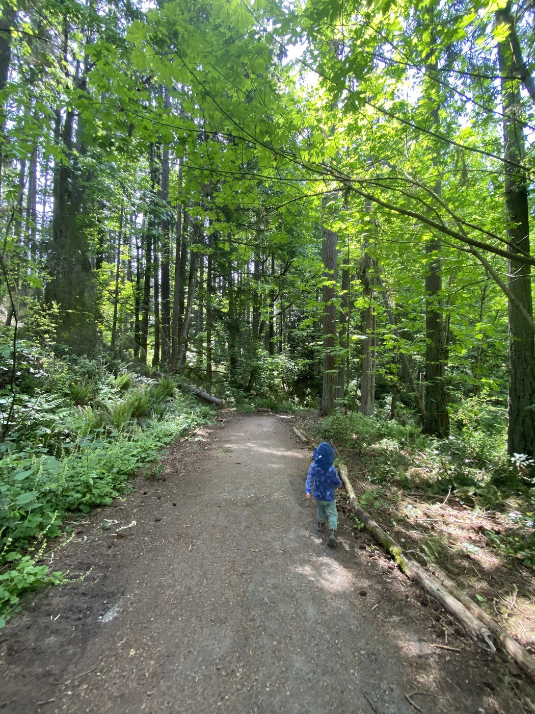 Llandover Woods Greenspace by warn9625