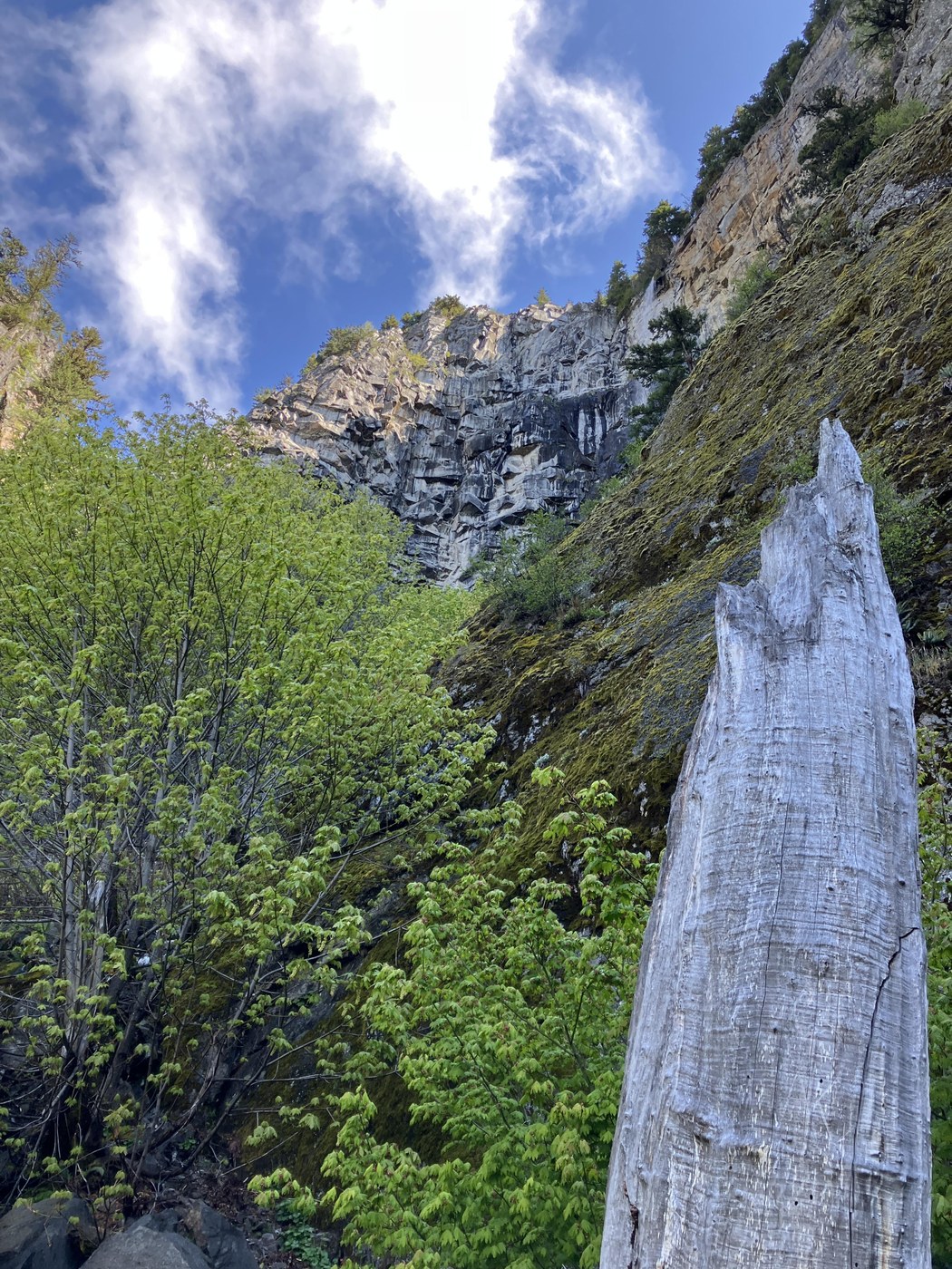 Falls/cliffs