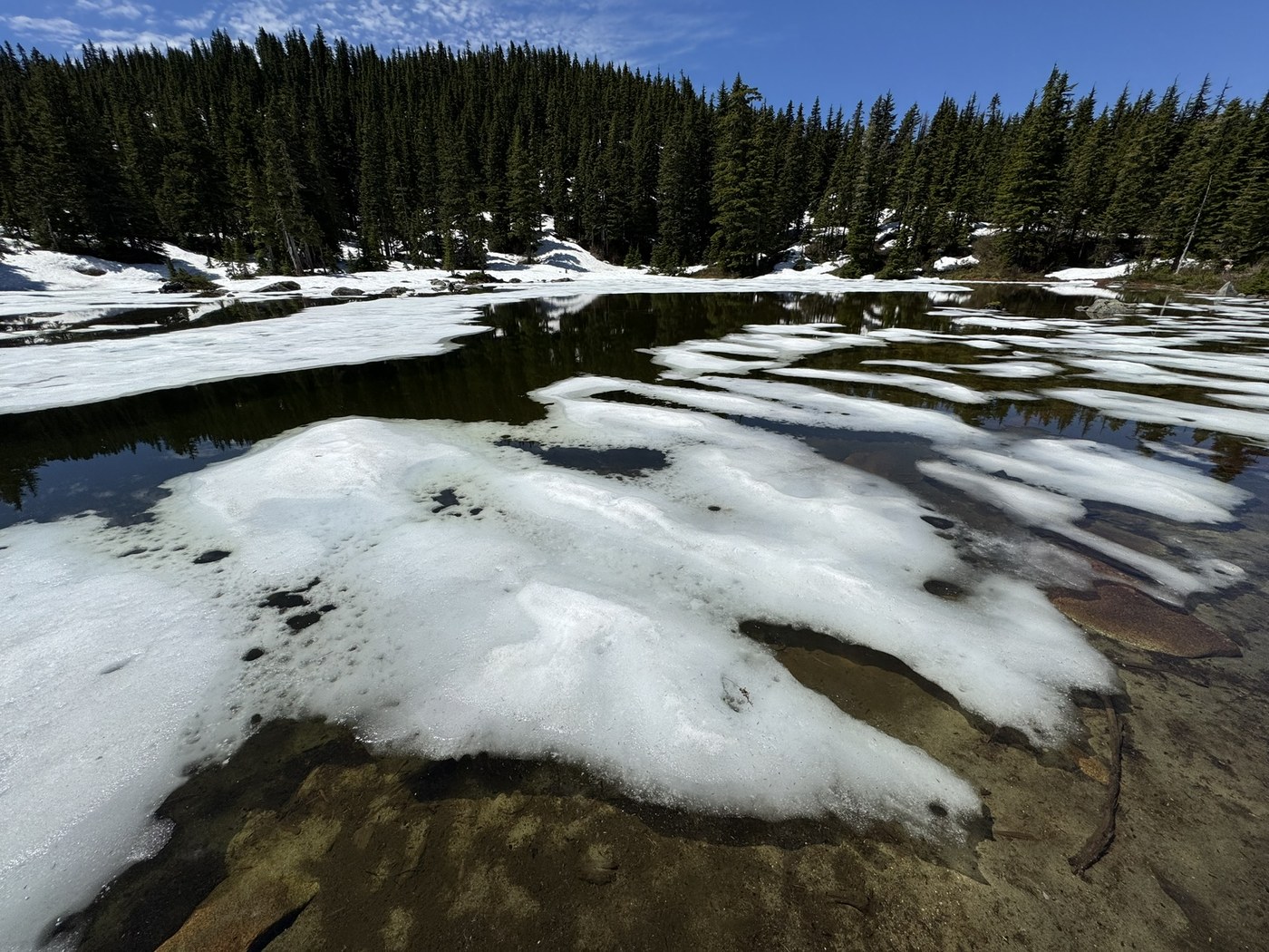 Sir Richard's Pond