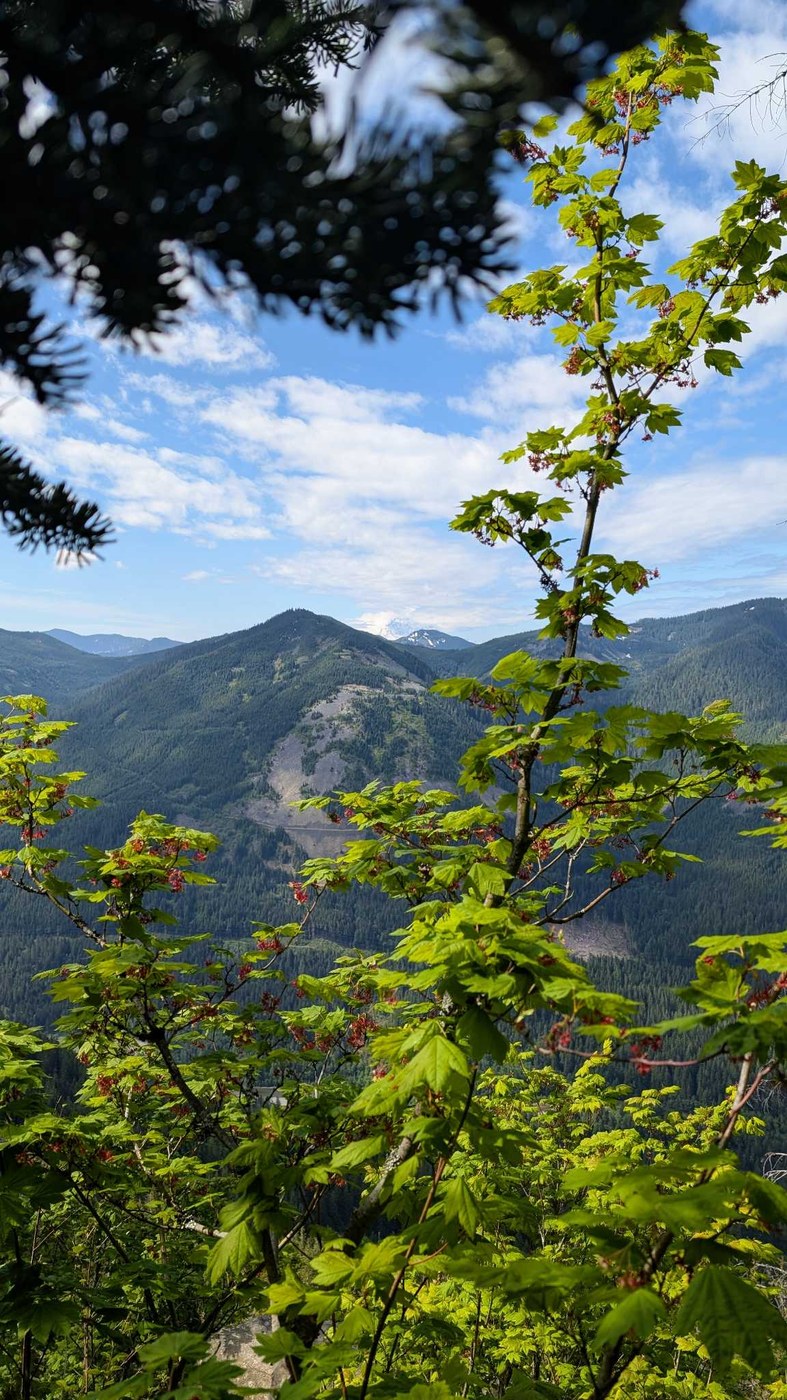 Ira Spring Trail - Mason Lake by the writ