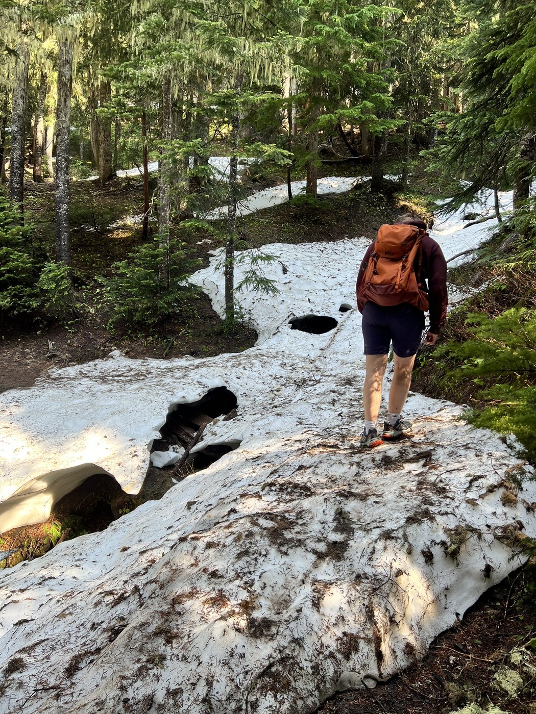 Mildred Point by KevinB