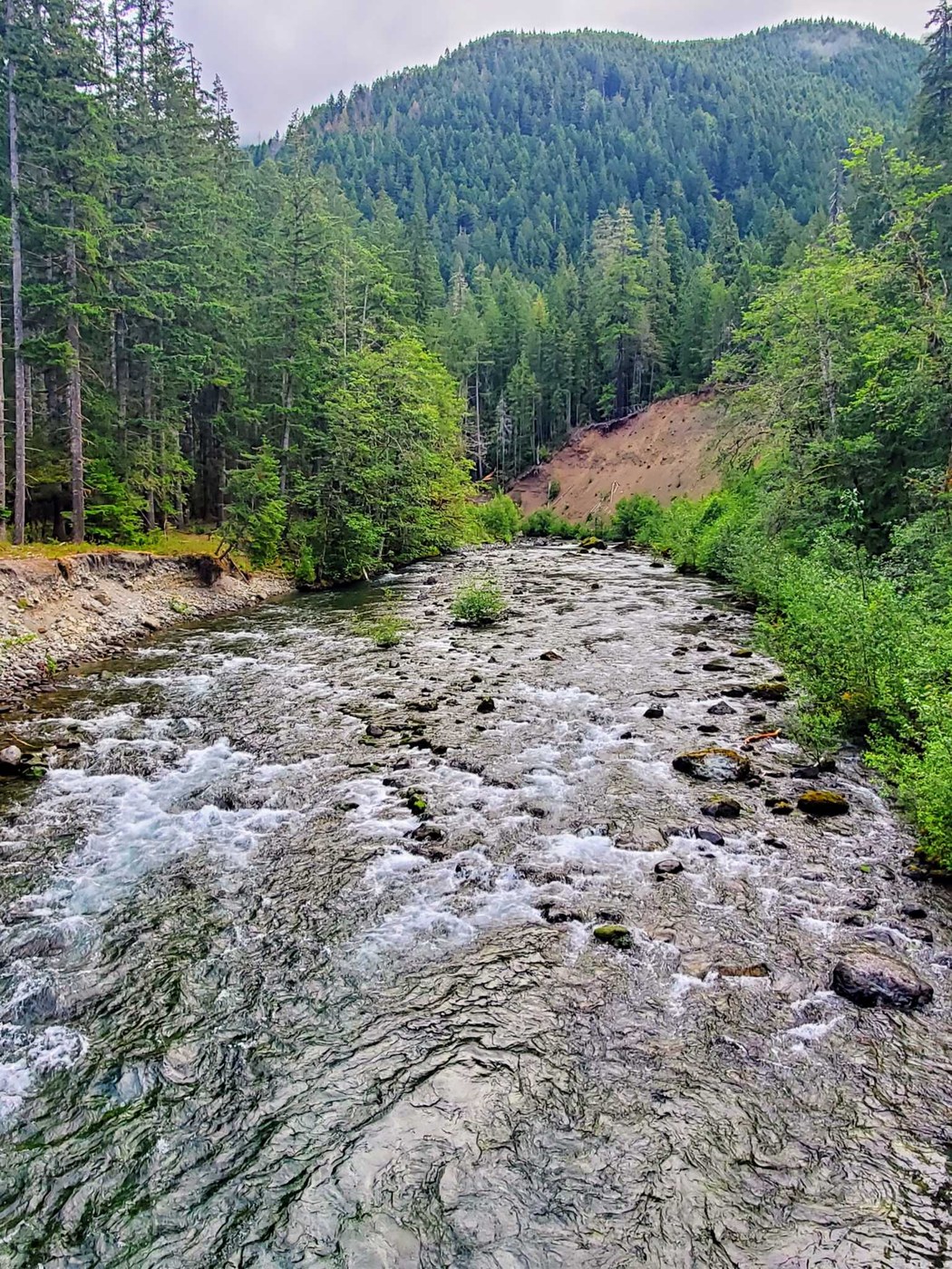 Staircase Rapids, Four Stream, Shady Lane by Oldwhiner