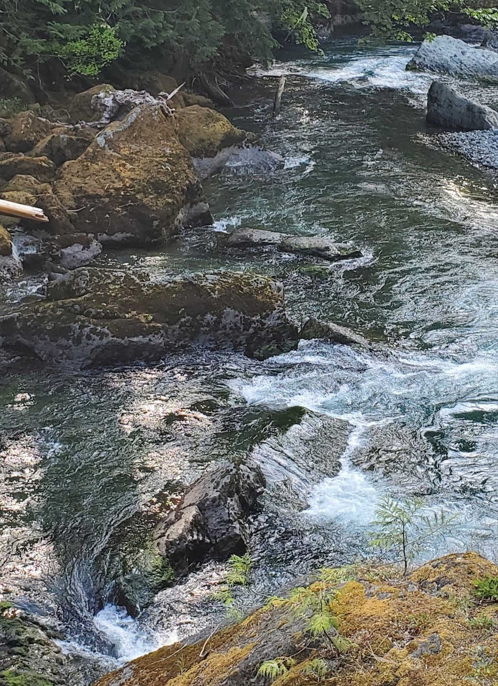 Staircase Rapids, Four Stream, Shady Lane by Oldwhiner