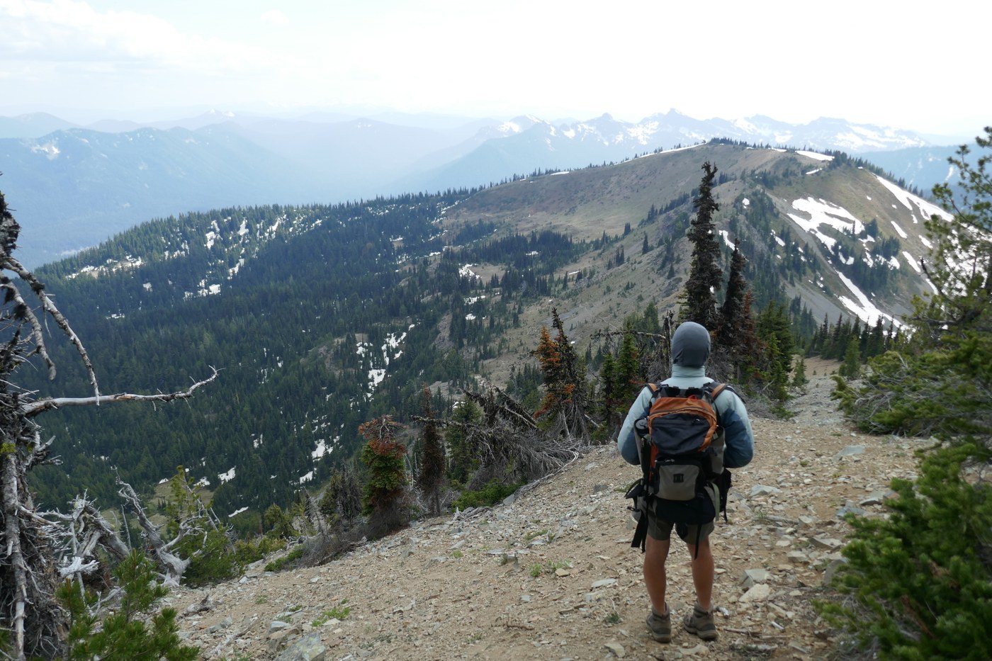Big Basin Looking South