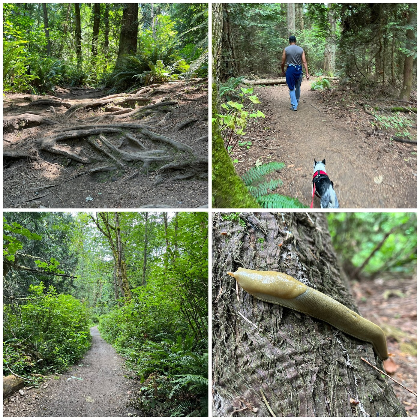 Saint Edward State Park by hikingwithlittledogs