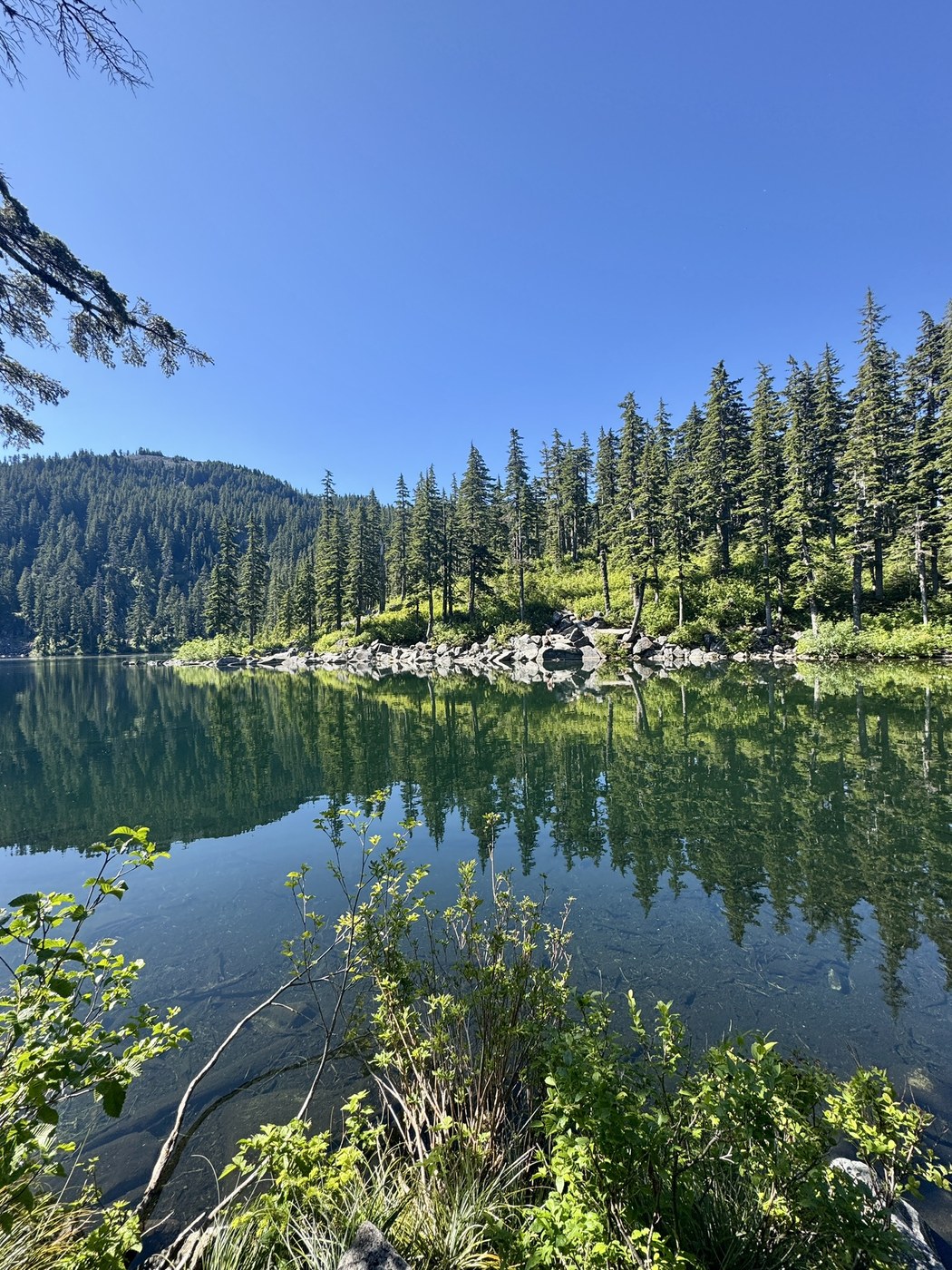 Ira Spring Trail - Mason Lake by mori
