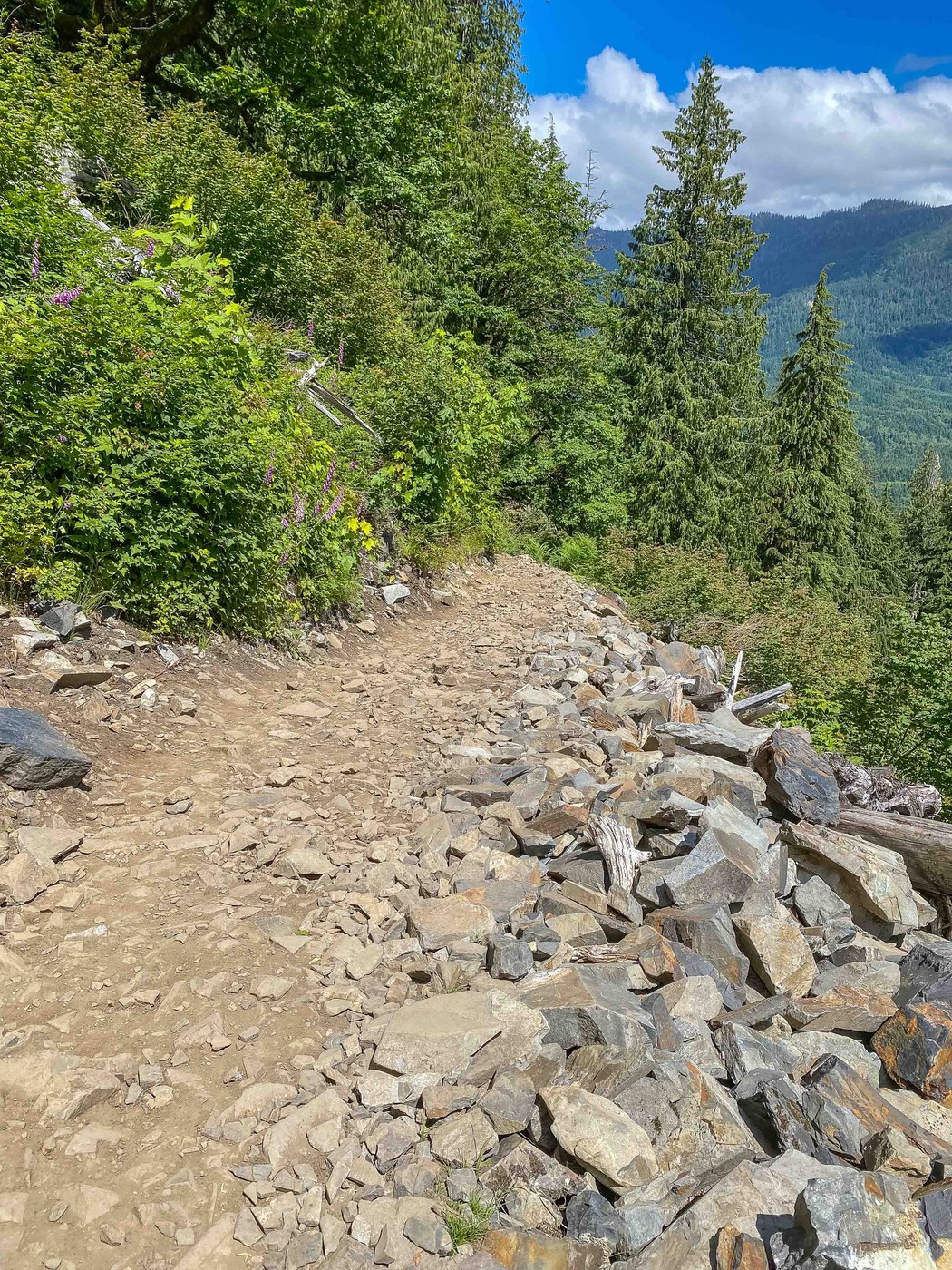 Rocky talus slope. C.W. Schurman