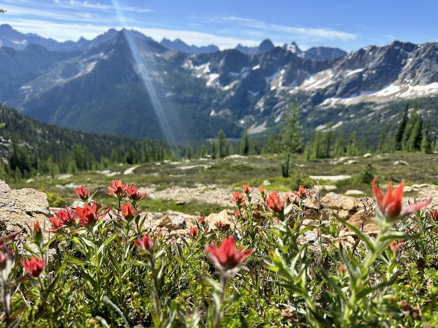 Cutthroat Pass via Cutthroat Lake, Cutthroat Pass via the Pacific Crest Trail by PNWdvm
