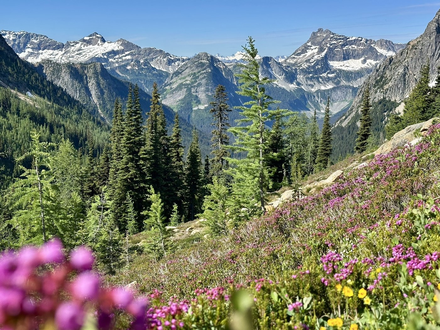 Cutthroat Pass via Cutthroat Lake, Cutthroat Pass via the Pacific Crest Trail by PNWdvm