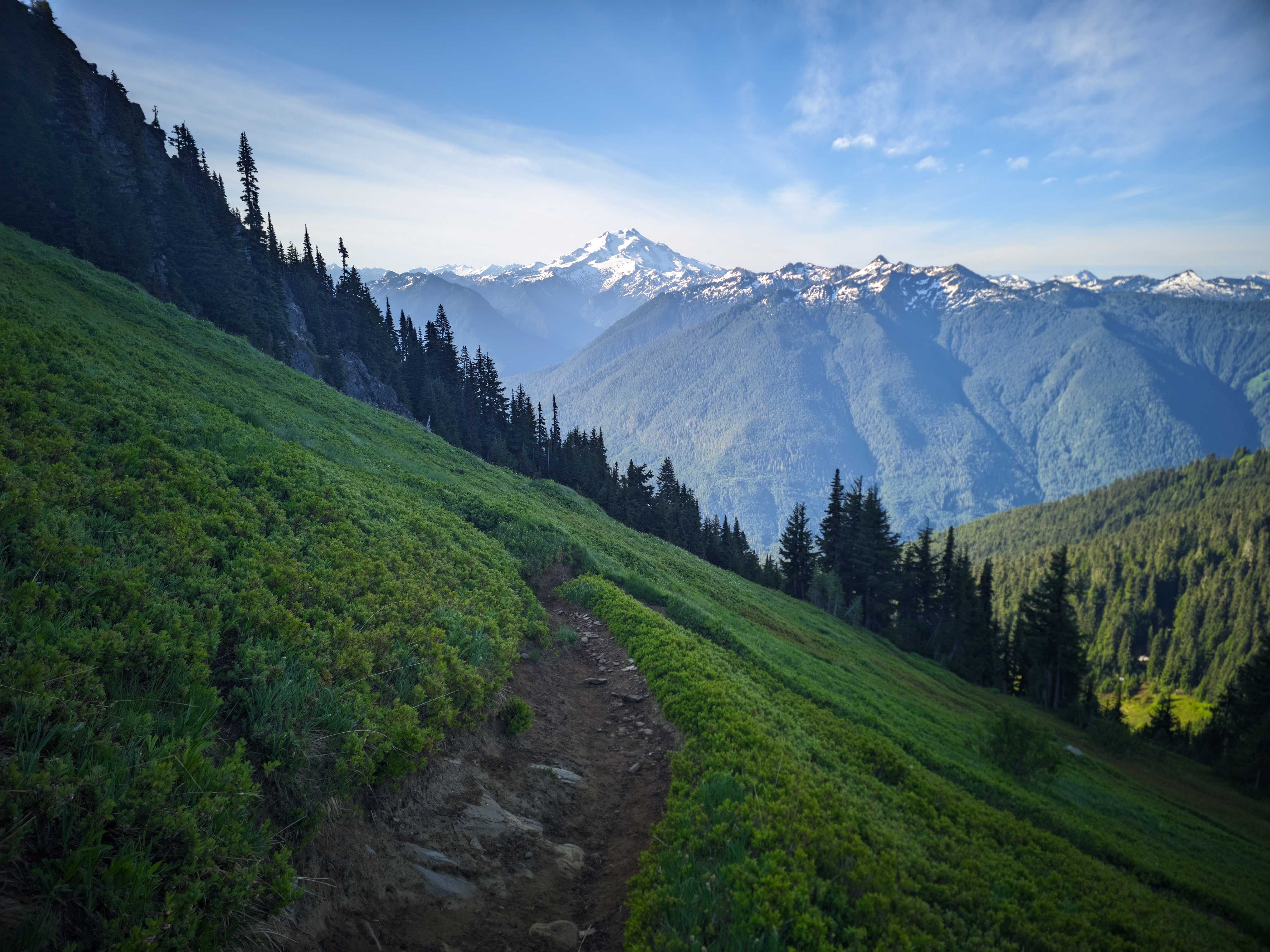Green Mountain — Washington Trails Association