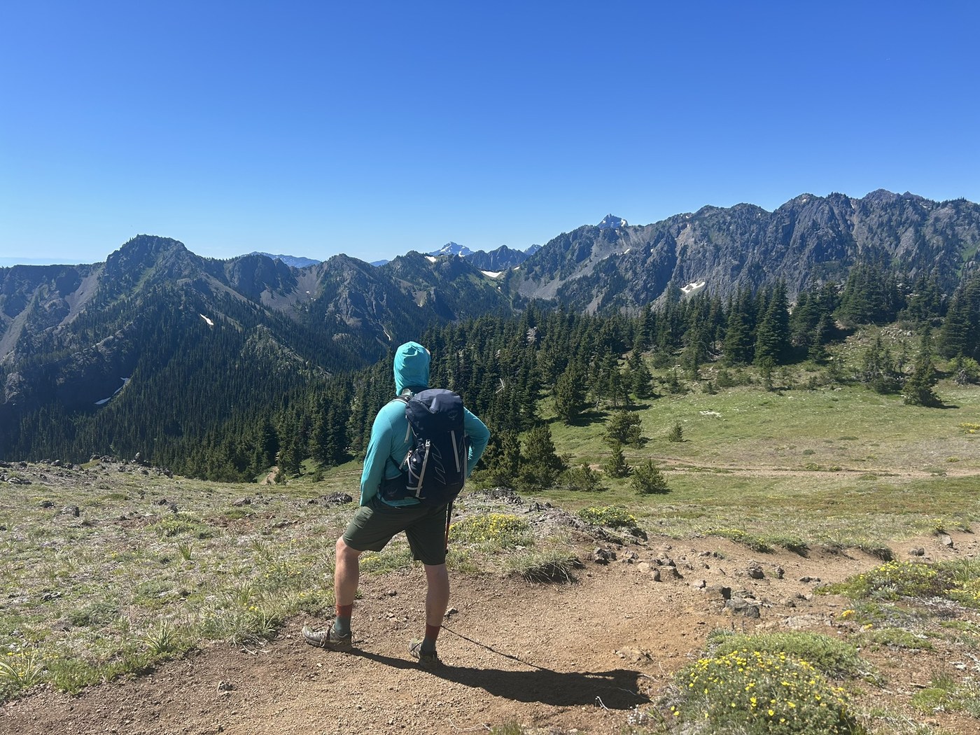 Mount Townsend by AnnieGholston