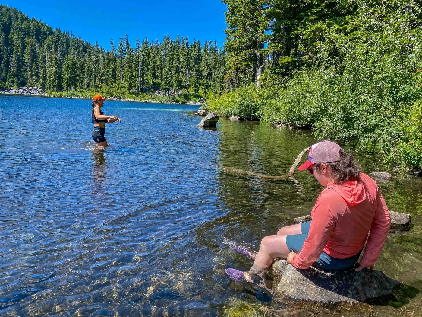 Wading paradise. C.W. Schurman